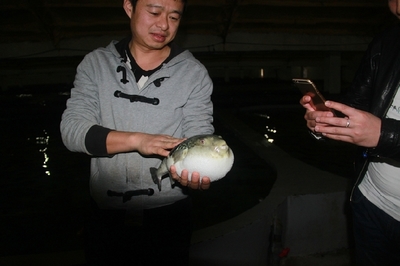 大連啟航“海魚陸養”保險，海水養殖技術研發迎來新機遇